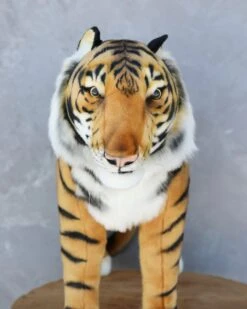 Hansa Oversized Ride-On Tiger 11 Hansa Oversized Ride-On Tiger -Toys Selection 2J2A3859 2