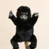 Hansa Gorilla Puppet -Toys Selection 2J2A9339 2