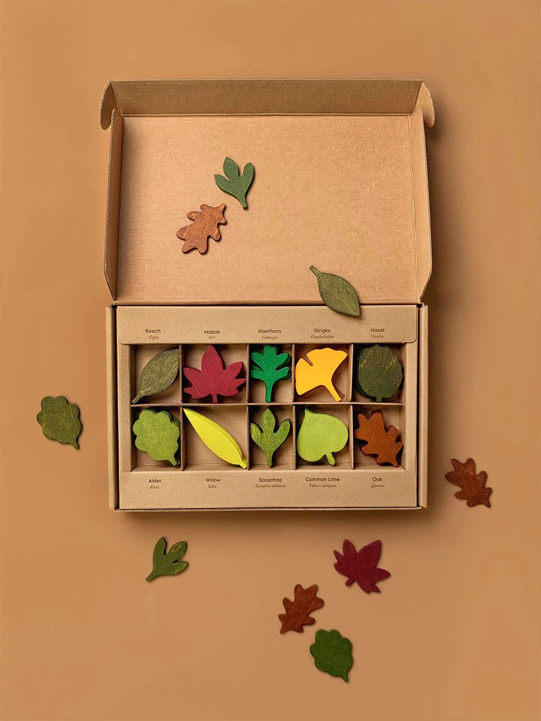 Woodland Leaves 4 Woodland Leaves - Image 2