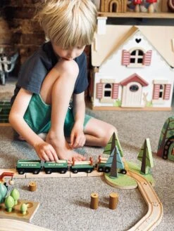 Tender Leaf Toys Wild Pines Train Set -Toys Selection TL8702 wild pines train set 12 jpg