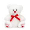 8.5" White Bear With Red Heart Nose And Embroidered Heart Feet -Toys Selection V00371